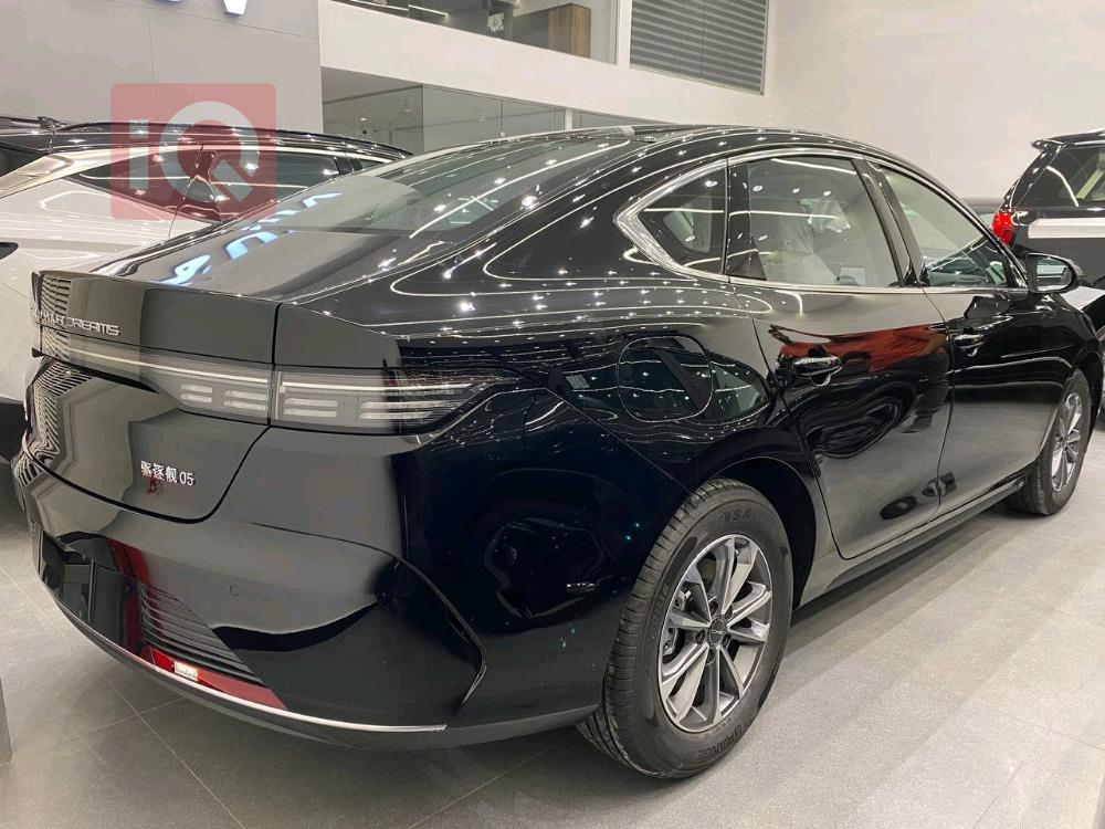 بی وای دی دیسترۆیەر 05